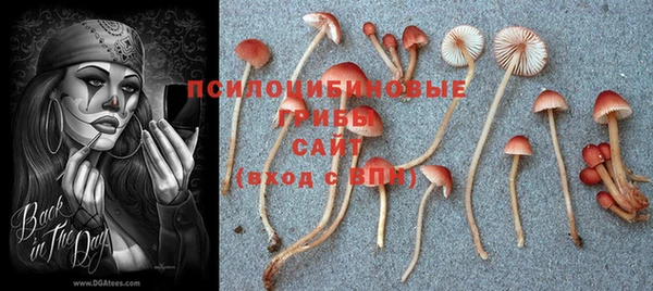 дистиллят марихуана Новозыбков