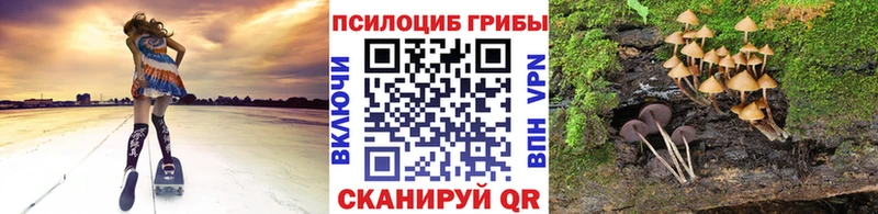 Псилоцибиновые грибы Psilocybe  Саратов 