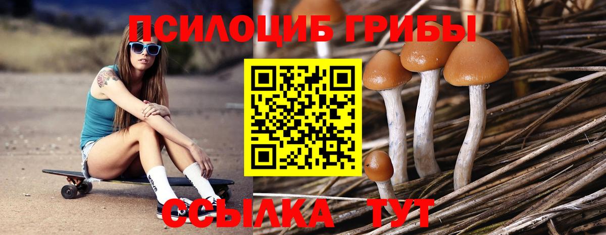 Саратов  Галлюциногенные грибы Cubensis  Вход с VPN 
