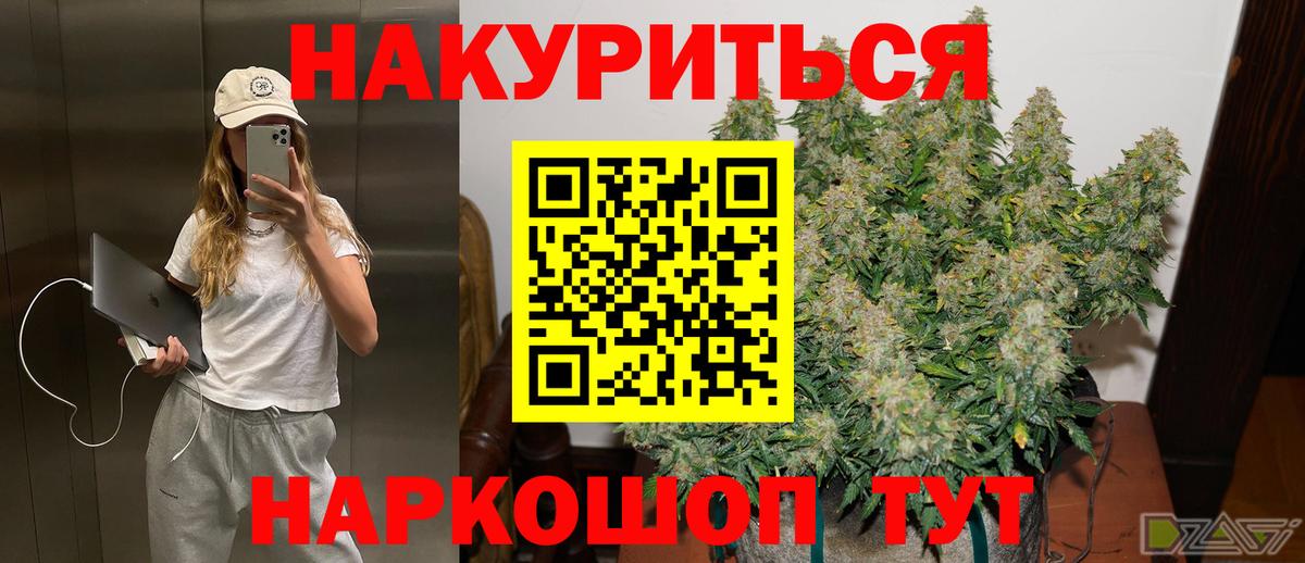Бошки Шишки гибрид Саратов
